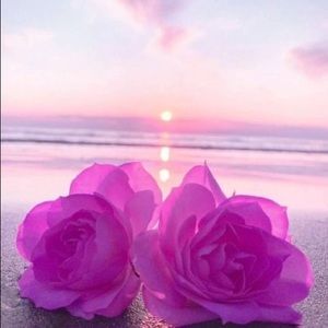 Meet your Posher, Manal